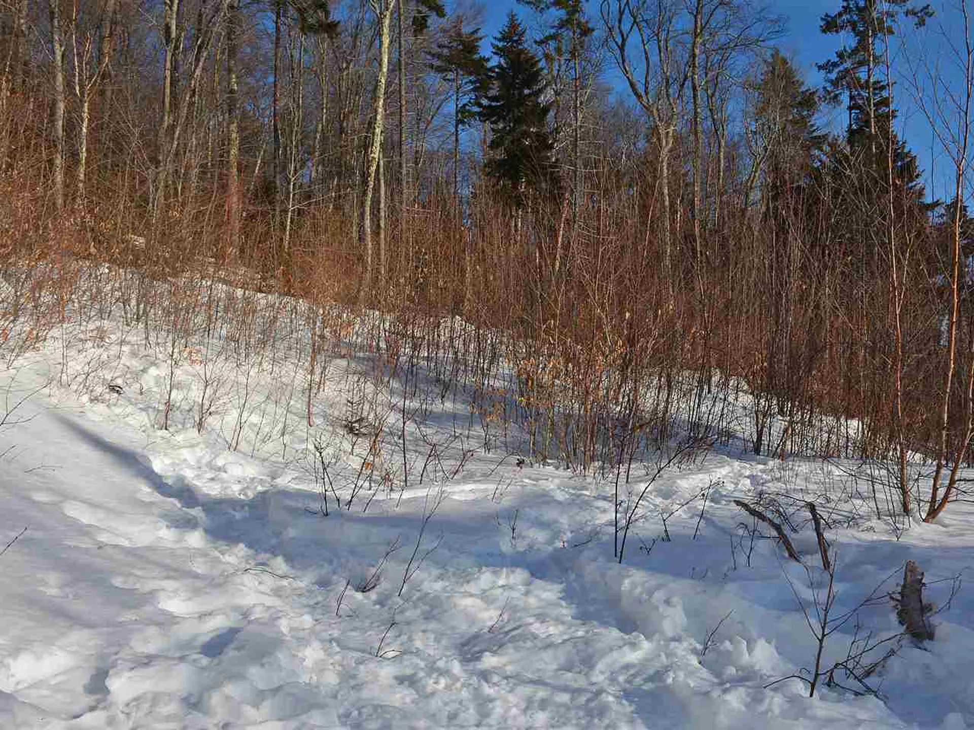 10 Lincoln Ridge Road Warren VT 05674