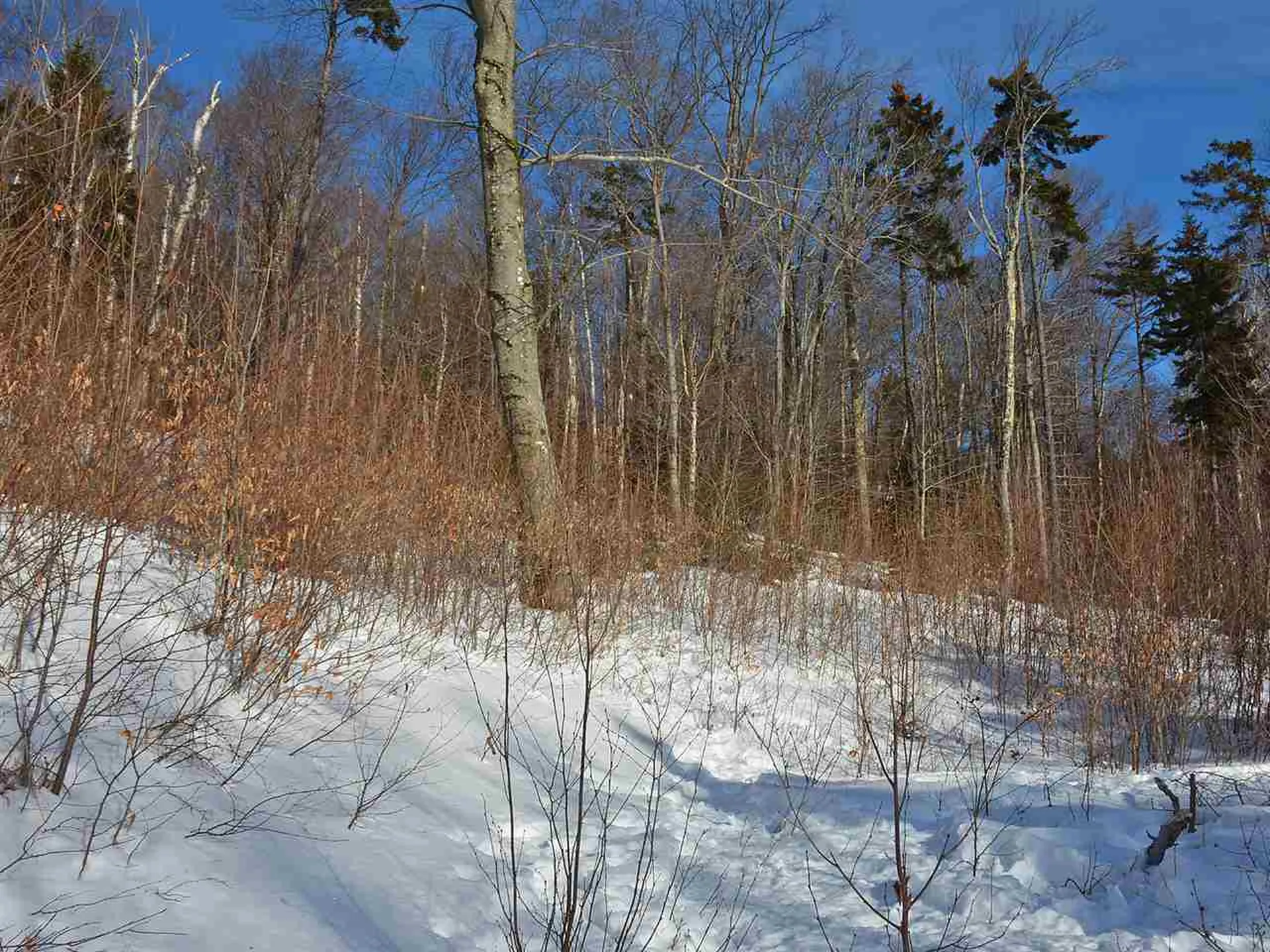 10 Lincoln Ridge Road Warren VT 05674