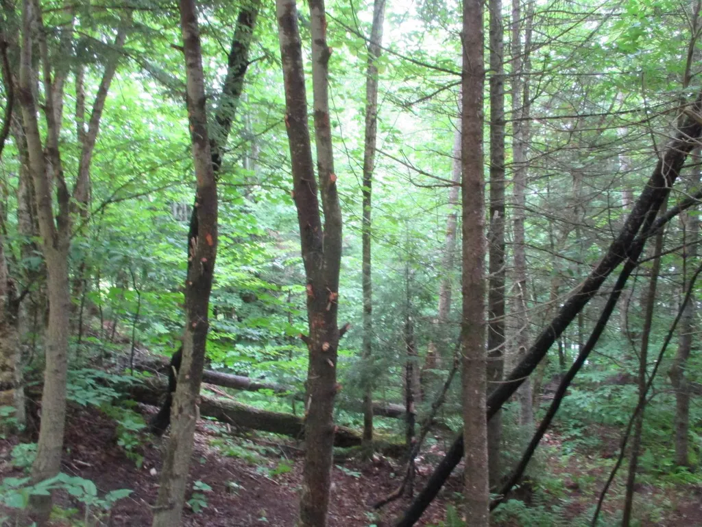 Lakeside Drive Haverhill NH 03785