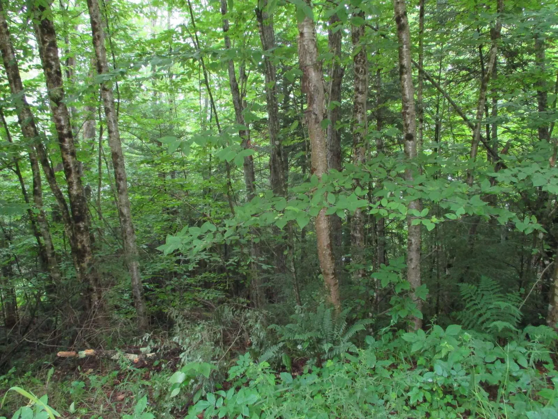 Lakeside Drive Haverhill NH 03785