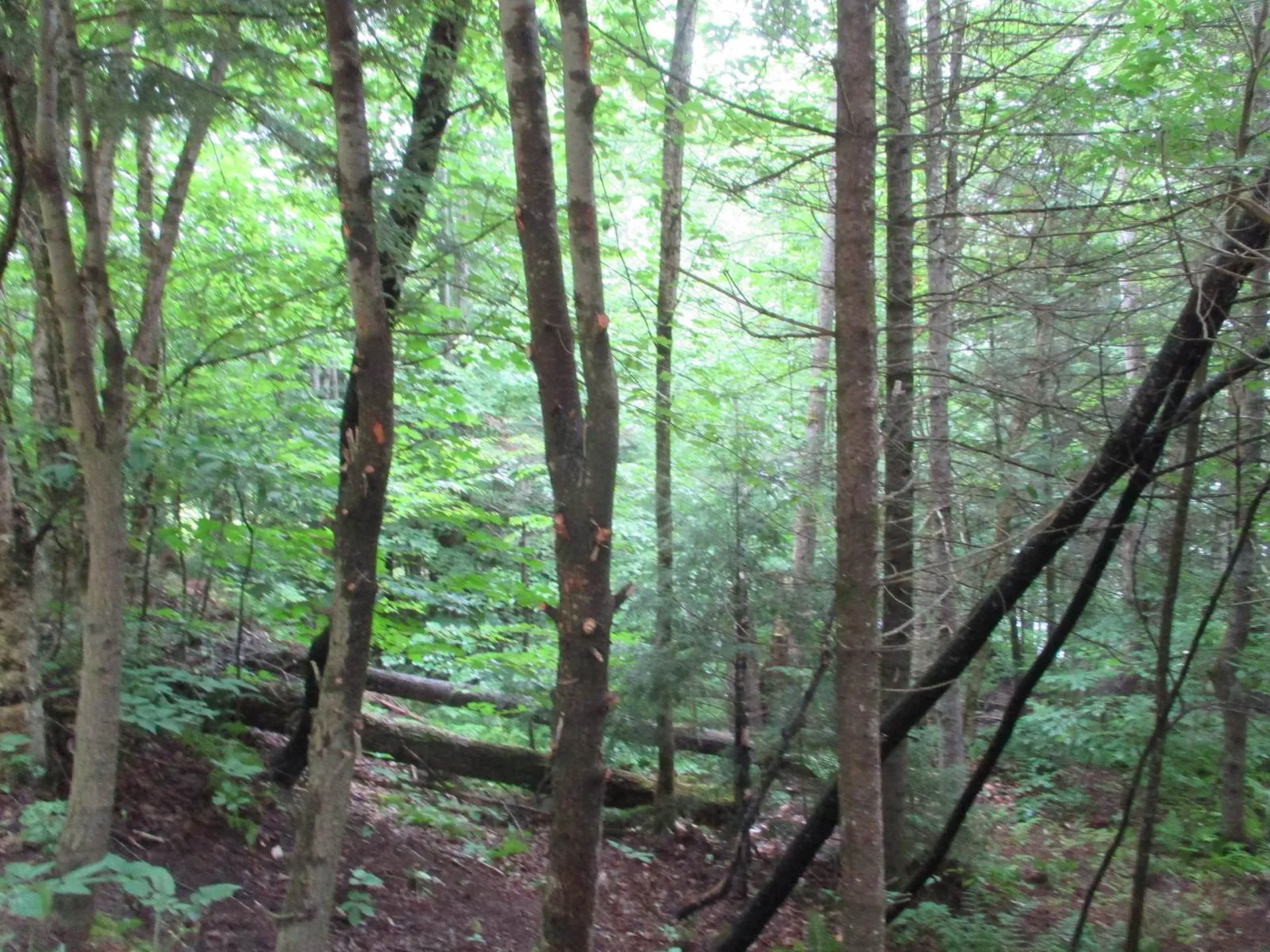 Lakeside Drive Haverhill NH 03785