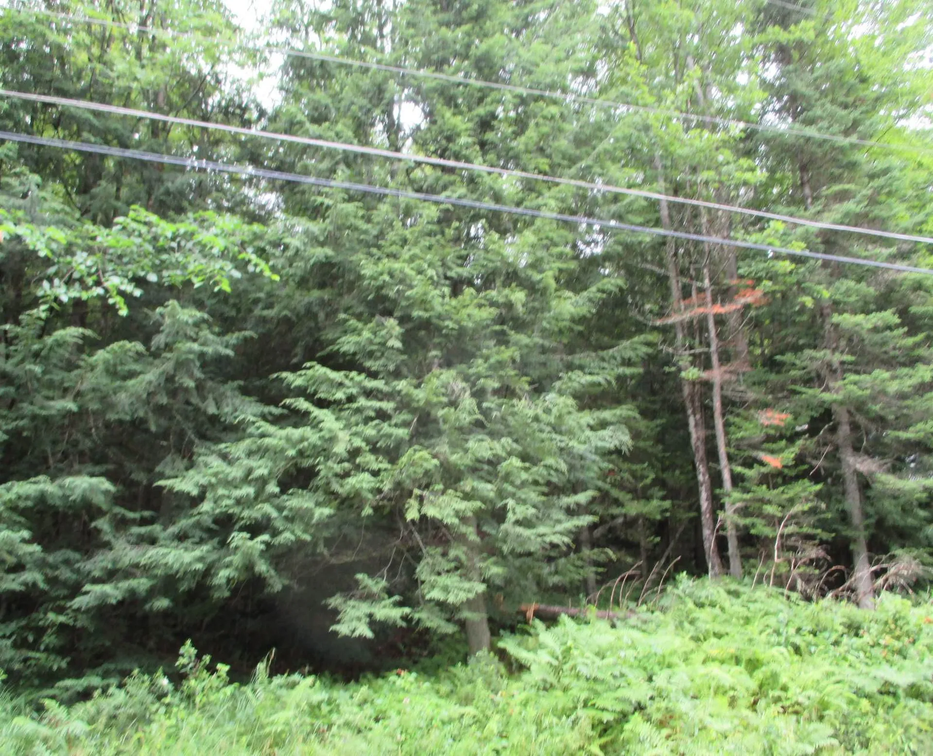 Lakeside Drive Haverhill NH 03785