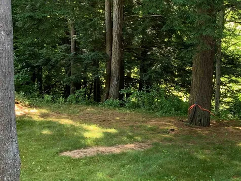 17 Magnolia Lane Belmont NH 03220