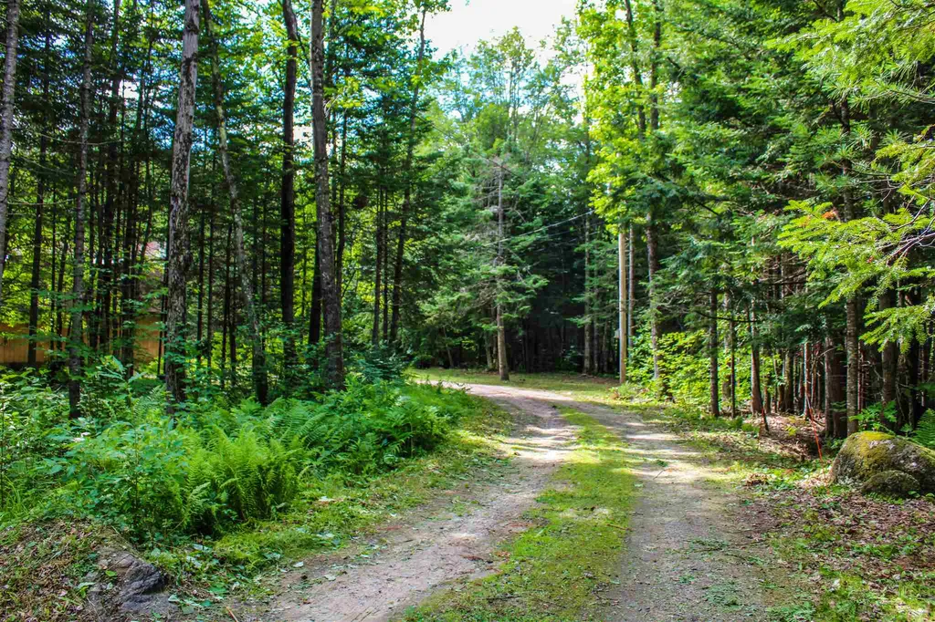44 Perch Pond Road Campton NH 03223