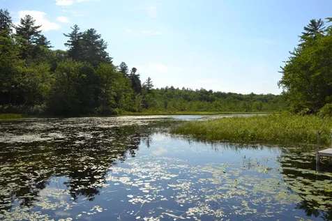 40 Heath Trail Wolfeboro NH 03894