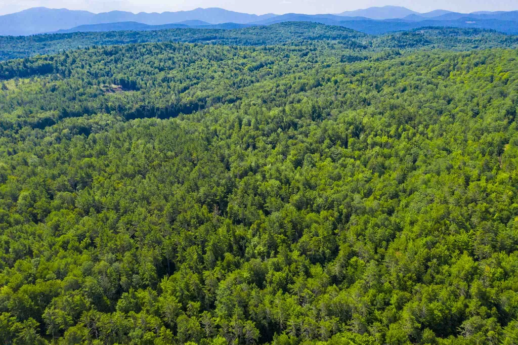 Lot 1 Gannon Road Littleton NH 03561