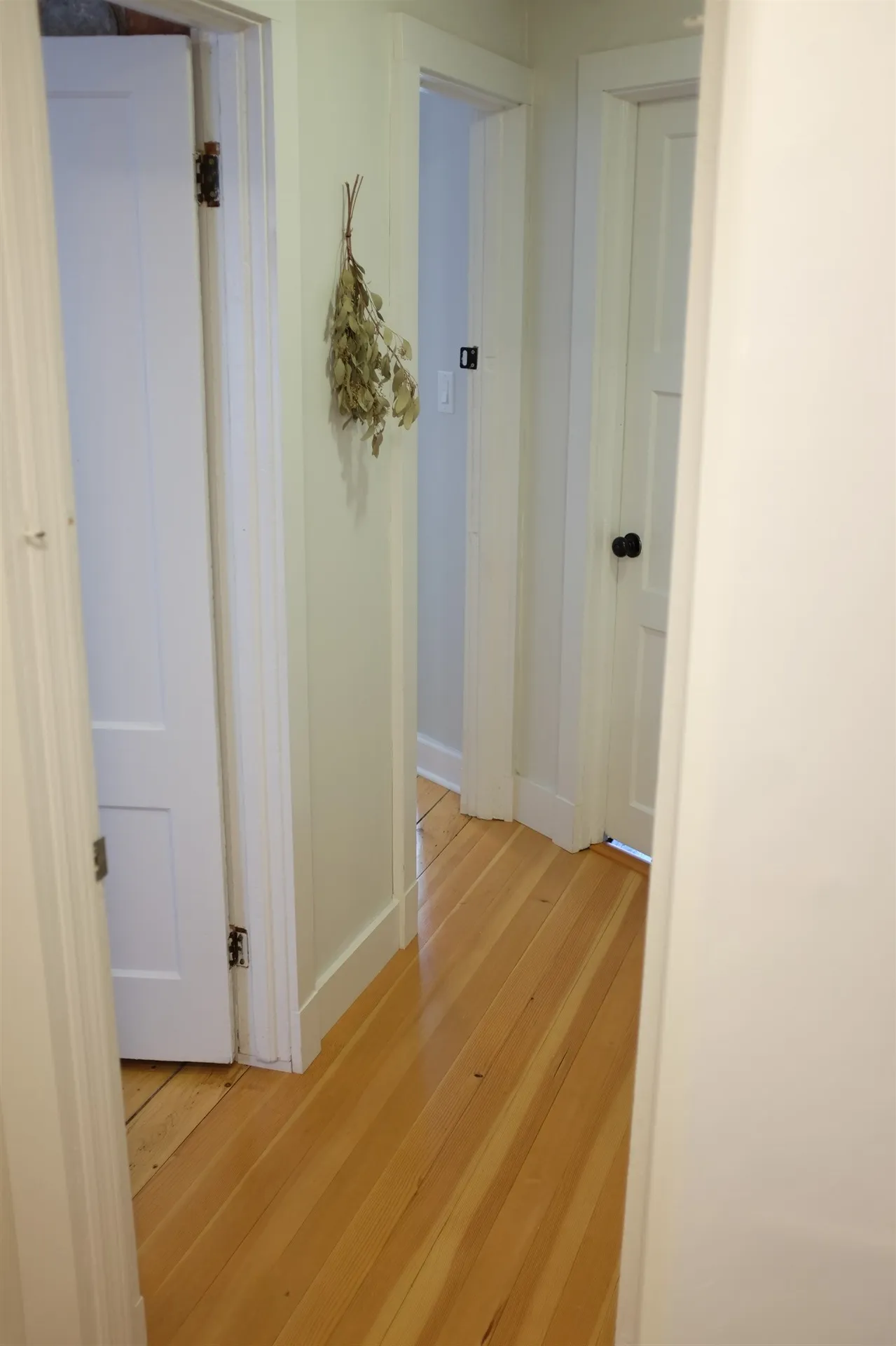 10 Myrtle Street Burlington VT 05401