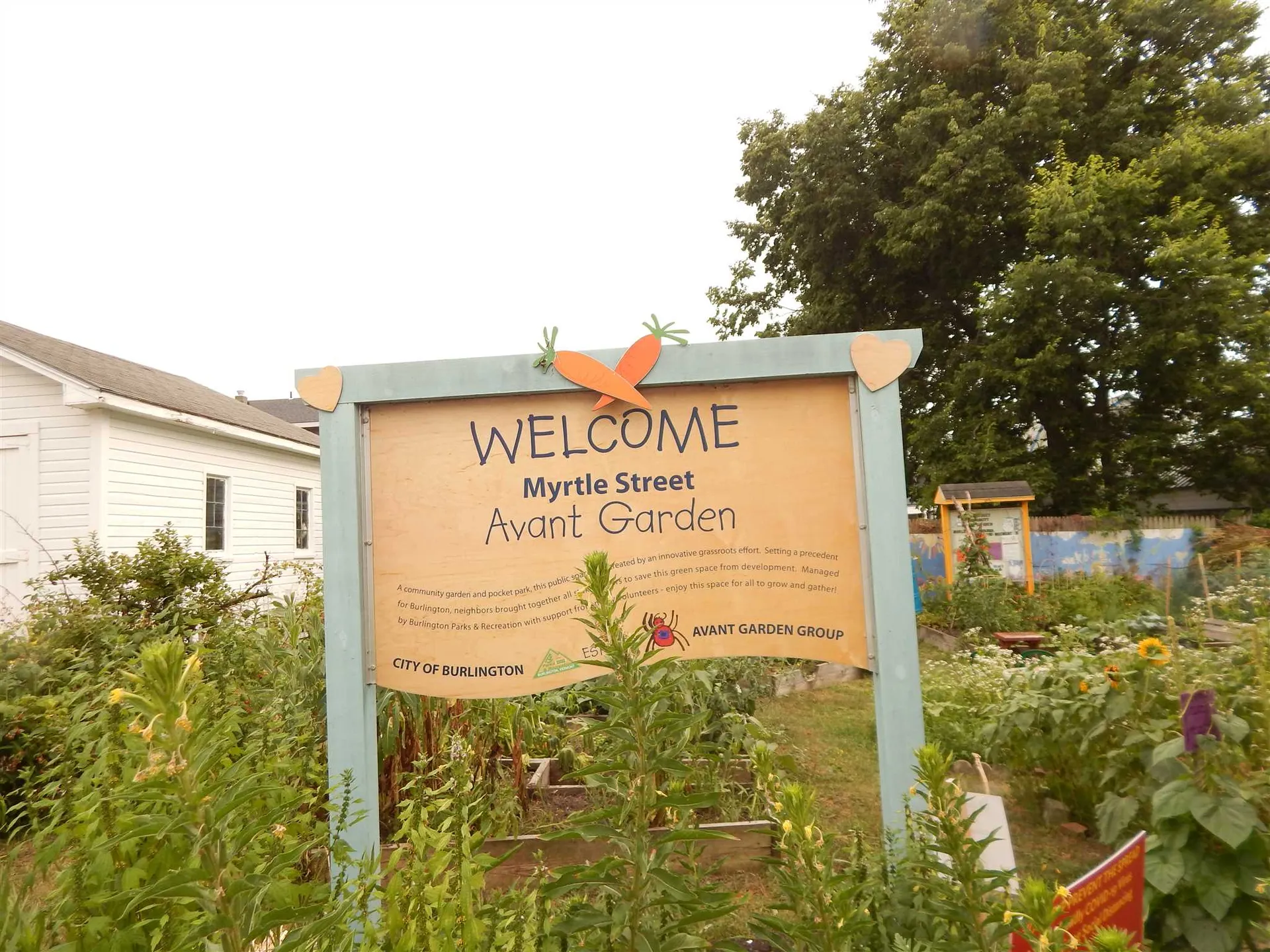 10 Myrtle Street Burlington VT 05401