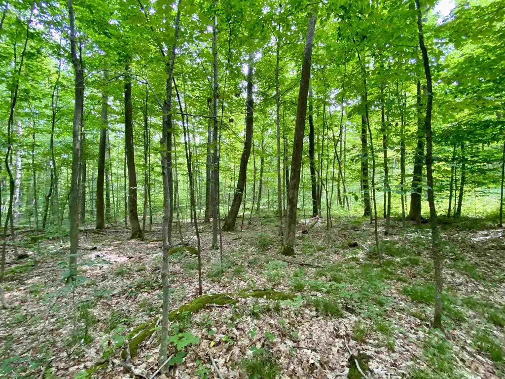 81 Fern Hill Dorset VT 05251