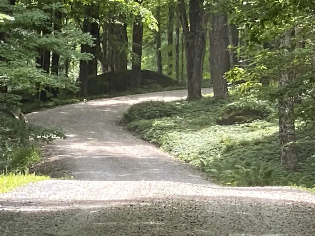 81 Fern Hill Dorset VT 05251