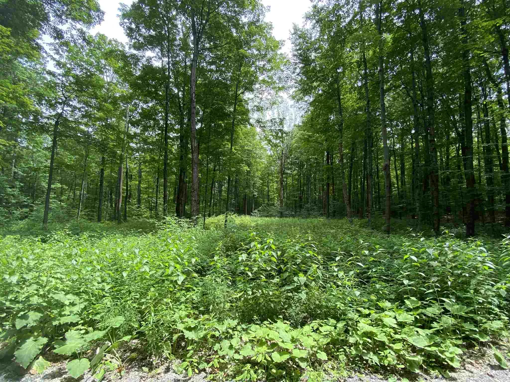 81 Fern Hill Dorset VT 05251