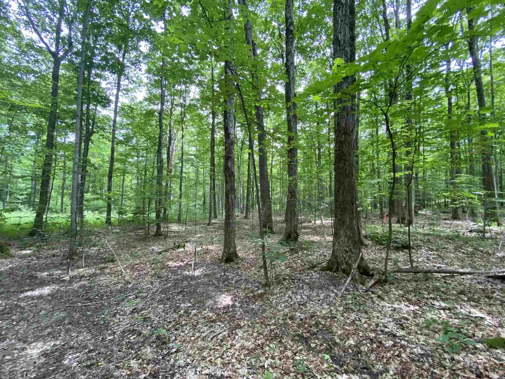 81 Fern Hill Dorset VT 05251