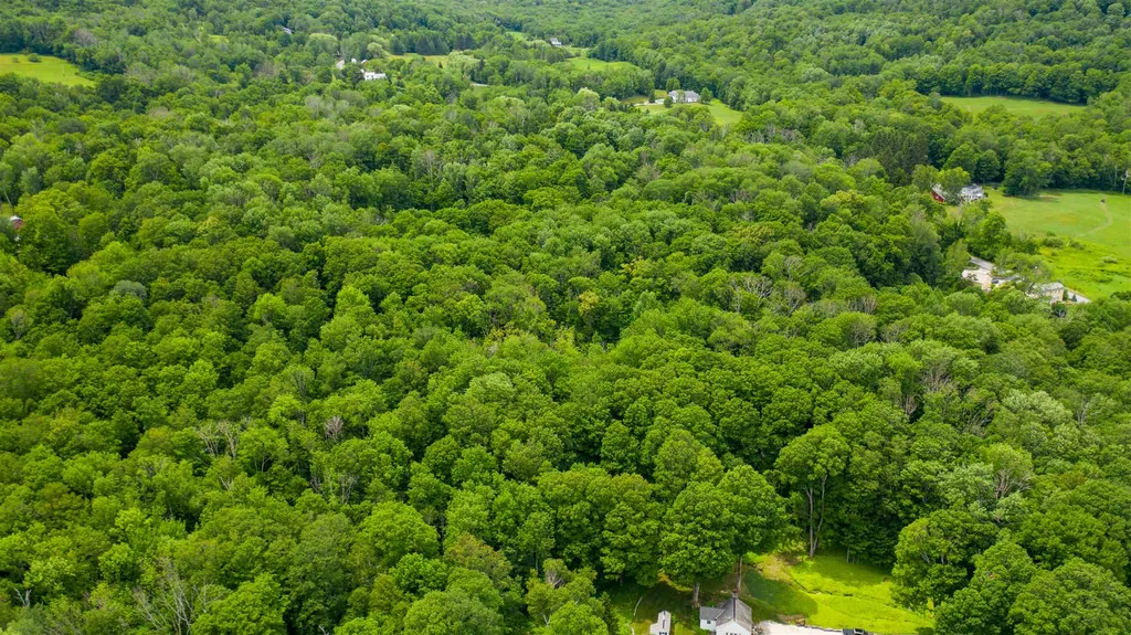 81 Fern Hill Dorset VT 05251