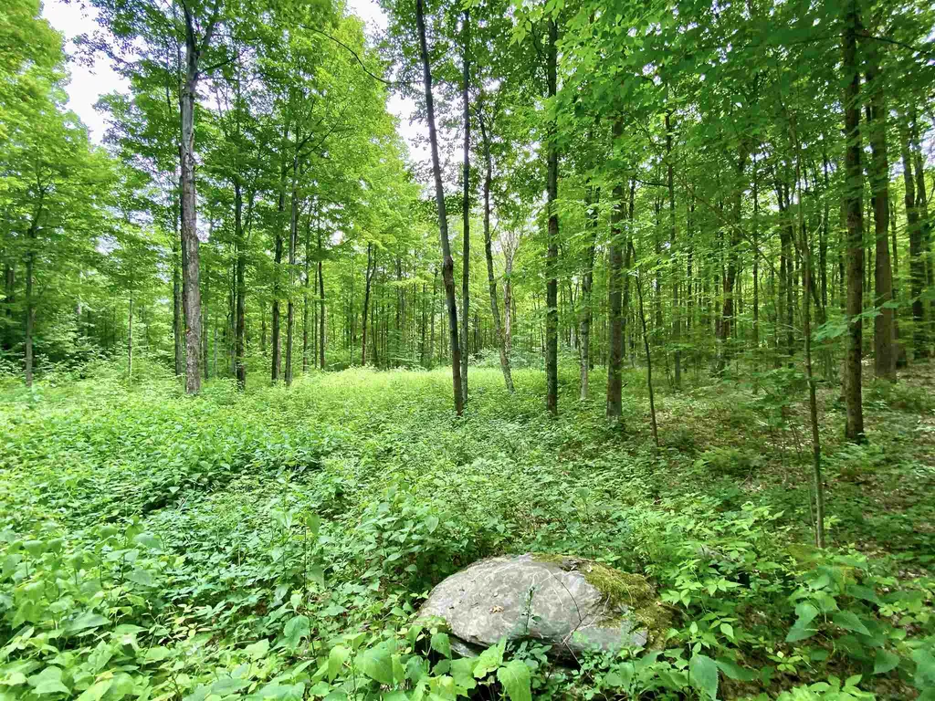 81 Fern Hill Dorset VT 05251