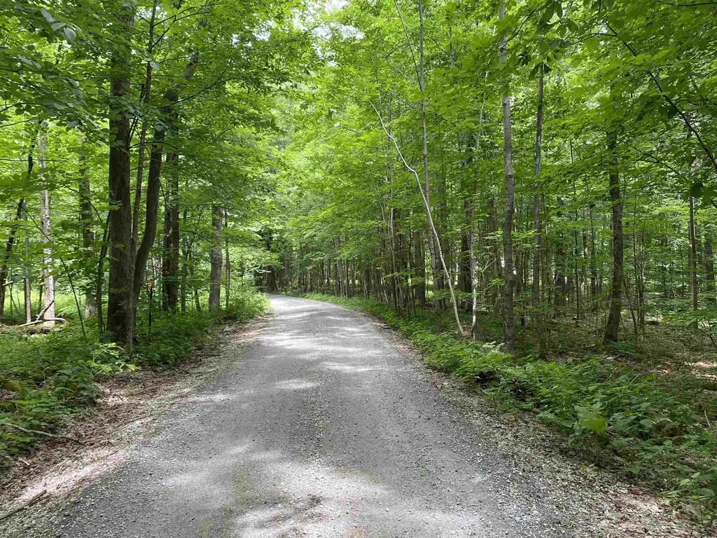 81 Fern Hill Dorset VT 05251