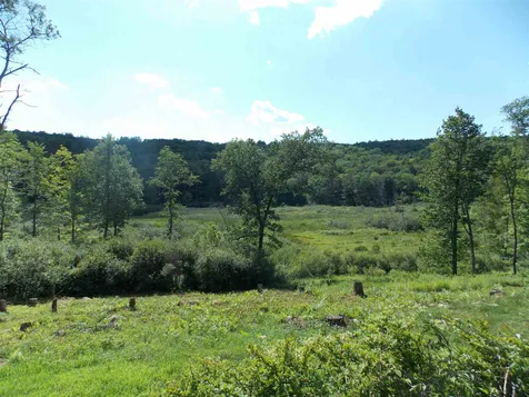 977 Randall Hill Road Springfield VT 05156