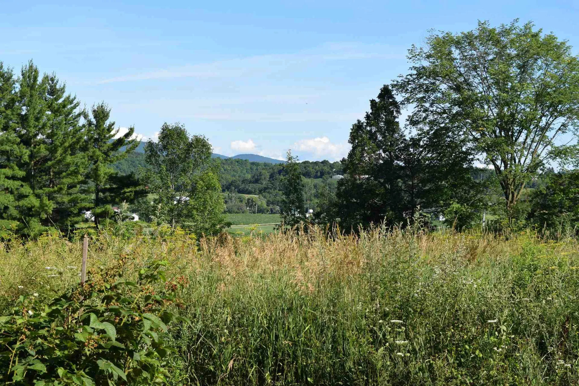 195 Ironhorse Road New Haven VT 05472