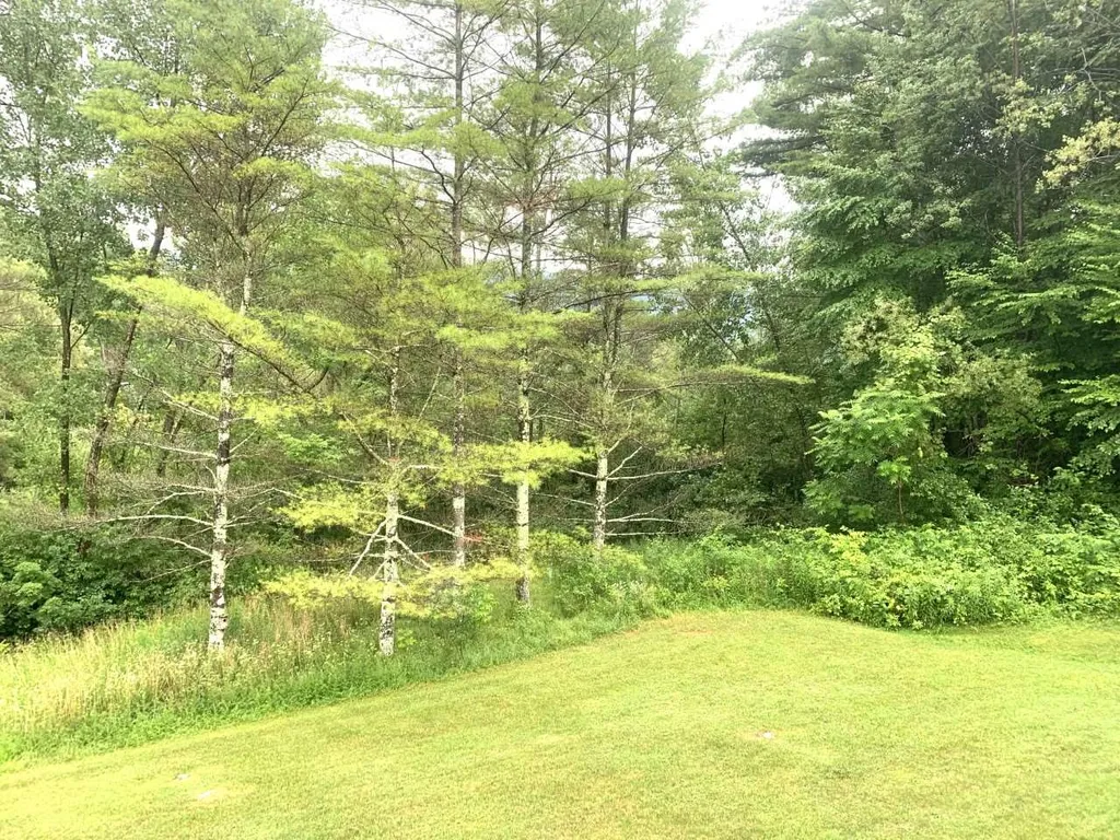 181 Riverside Townhouses Road Manchester VT 05255