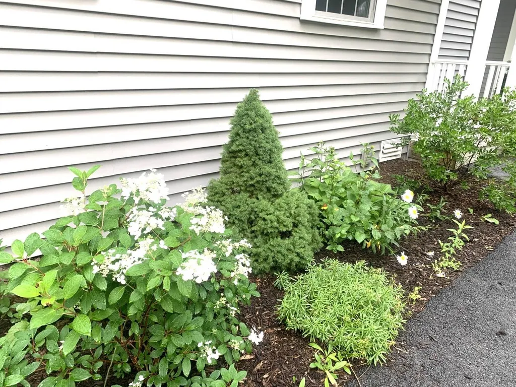 181 Riverside Townhouses Road Manchester VT 05255