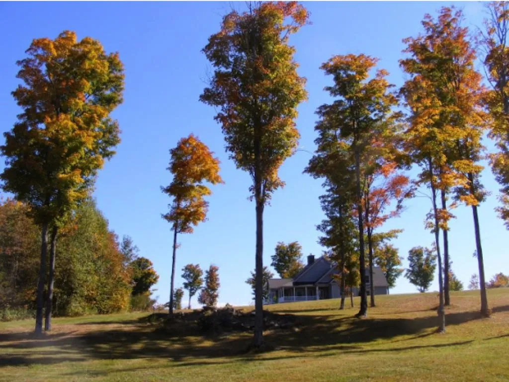 99 Mason Drive Milan NH 03588