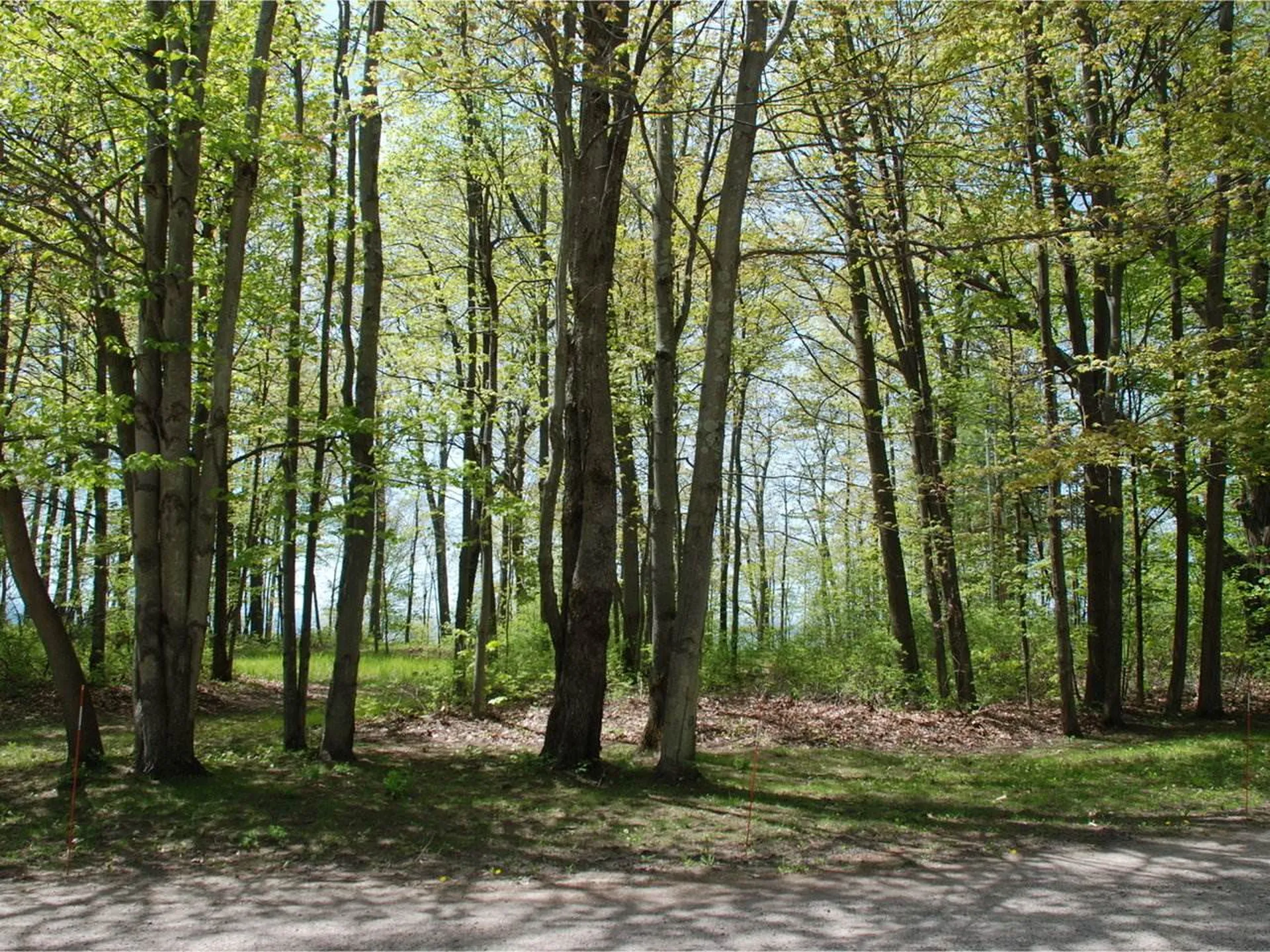 0 Orchard Shore Road Colchester VT 05446