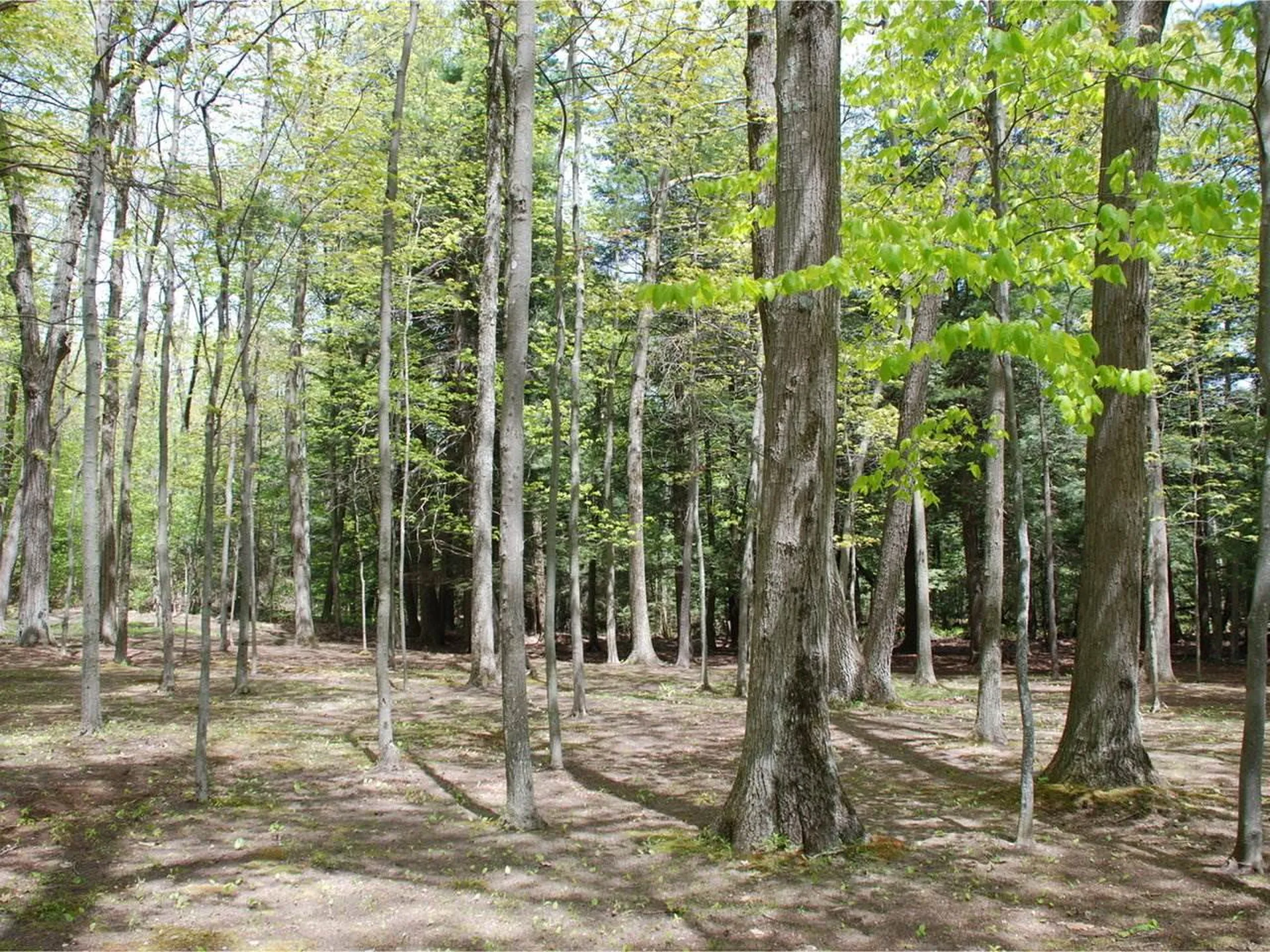 0 Orchard Shore Road Colchester VT 05446