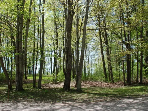 0 Orchard Shore Road Colchester VT 05446