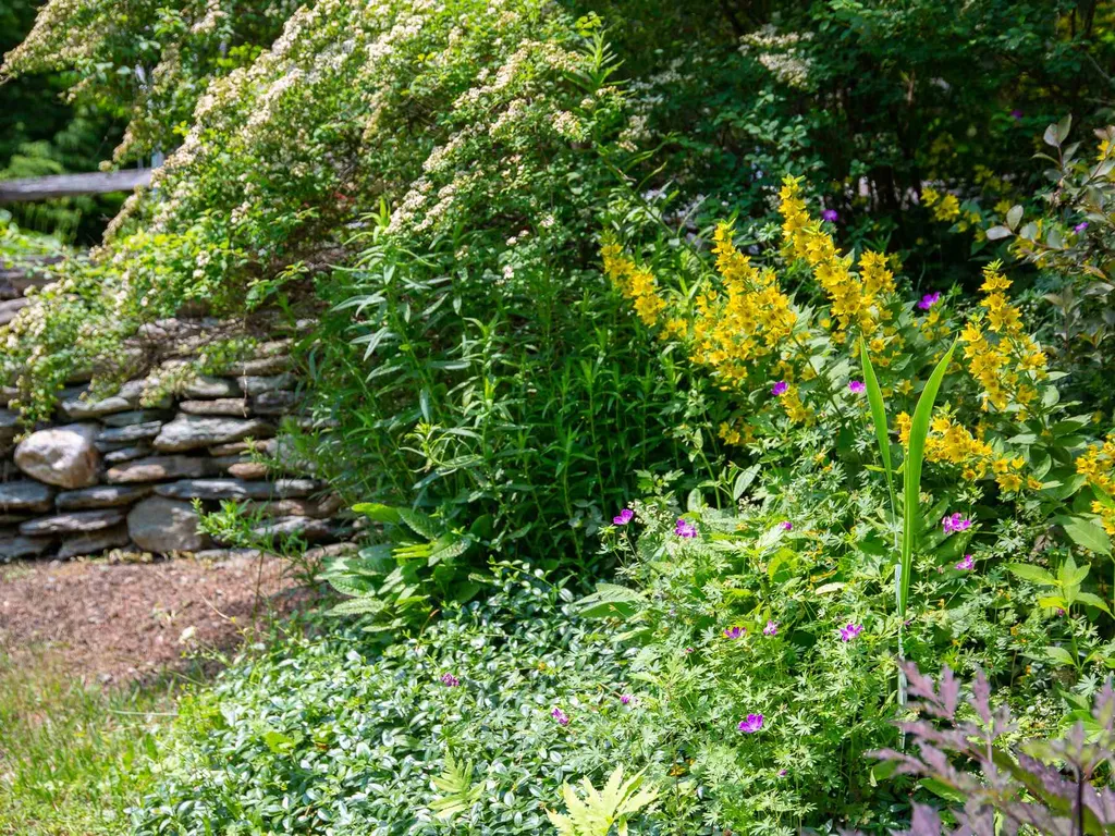 125 Carlyle Road Warren VT 05674