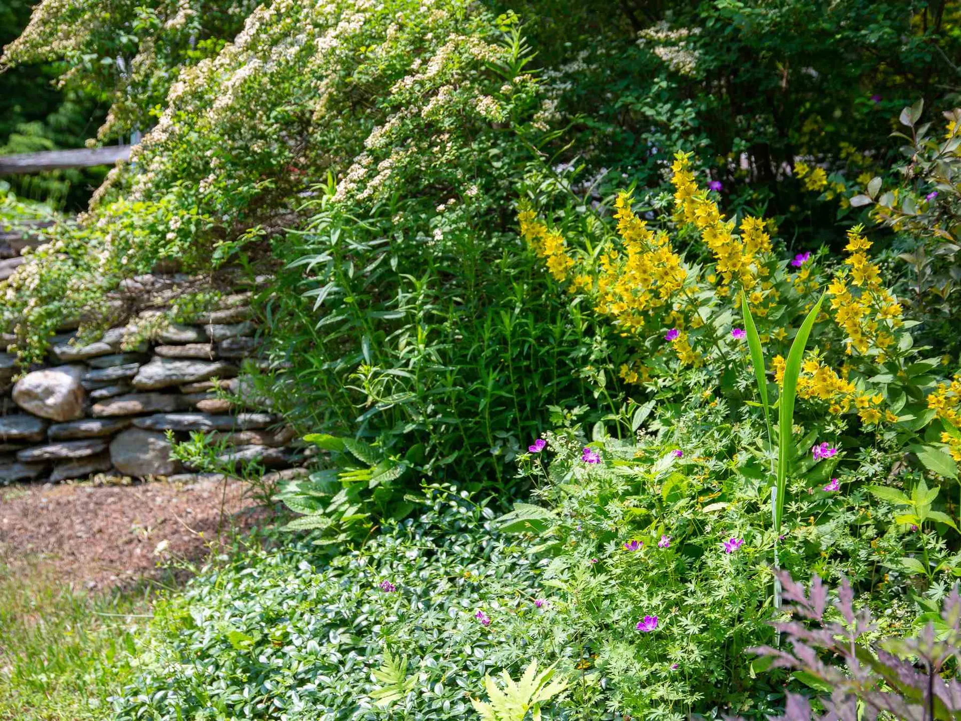 125 Carlyle Road Warren VT 05674