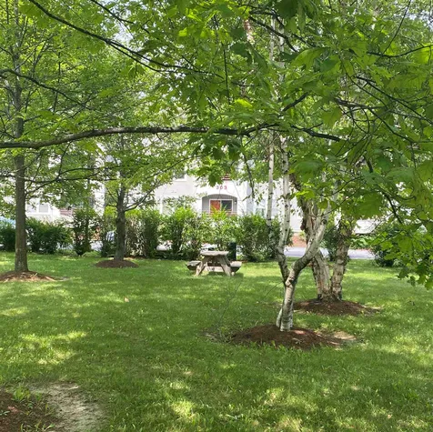 303 Lime Kiln Road South Burlington VT 05403