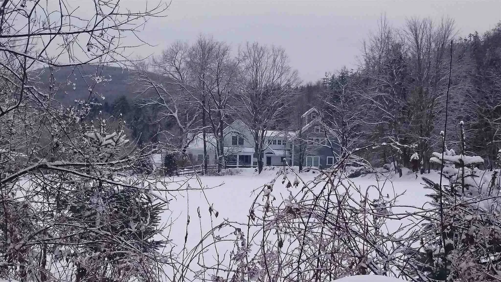 246 Egan Road Cavendish VT 05142-0126