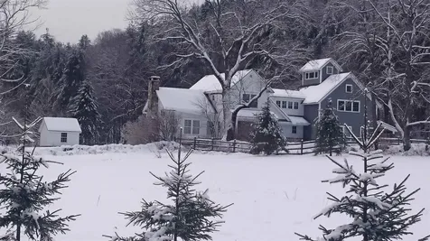 246 Egan Road Cavendish VT 05142-0126