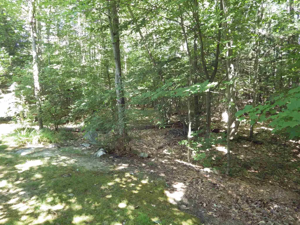 288 Center Street Wolfeboro NH 03894