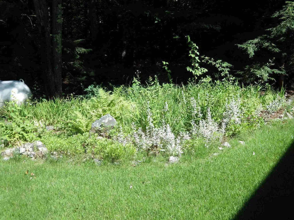 288 Center Street Wolfeboro NH 03894