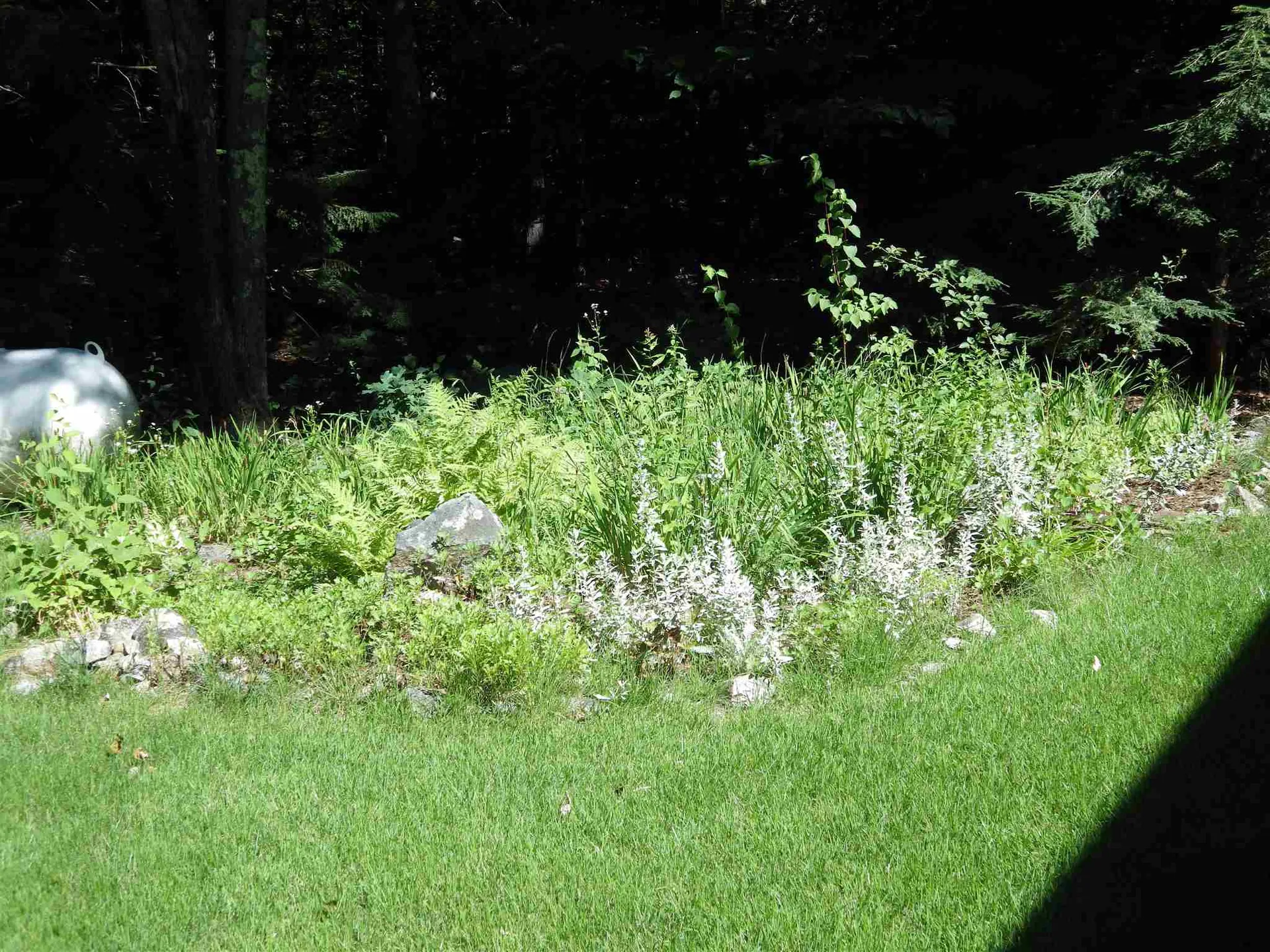 288 Center Street Wolfeboro NH 03894