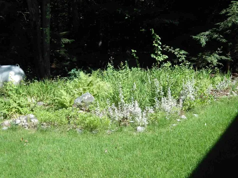 288 Center Street Wolfeboro NH 03894