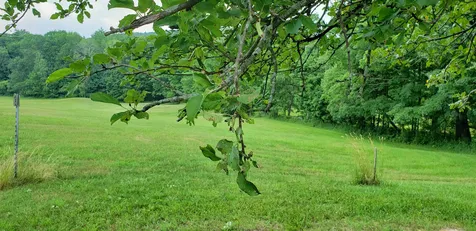 792 East Road Cornish NH 03745