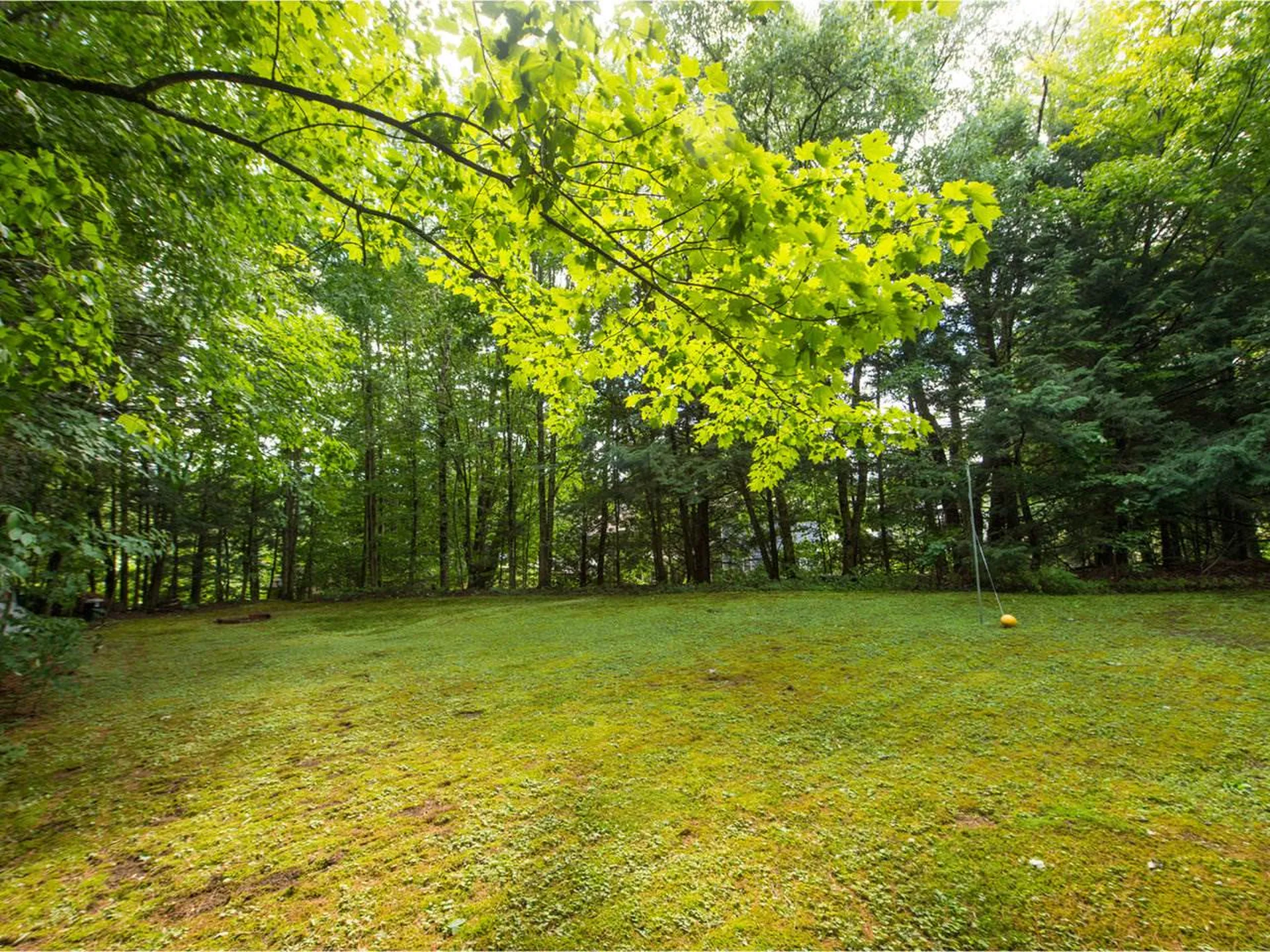 70 Griswold Street Jericho VT 05465
