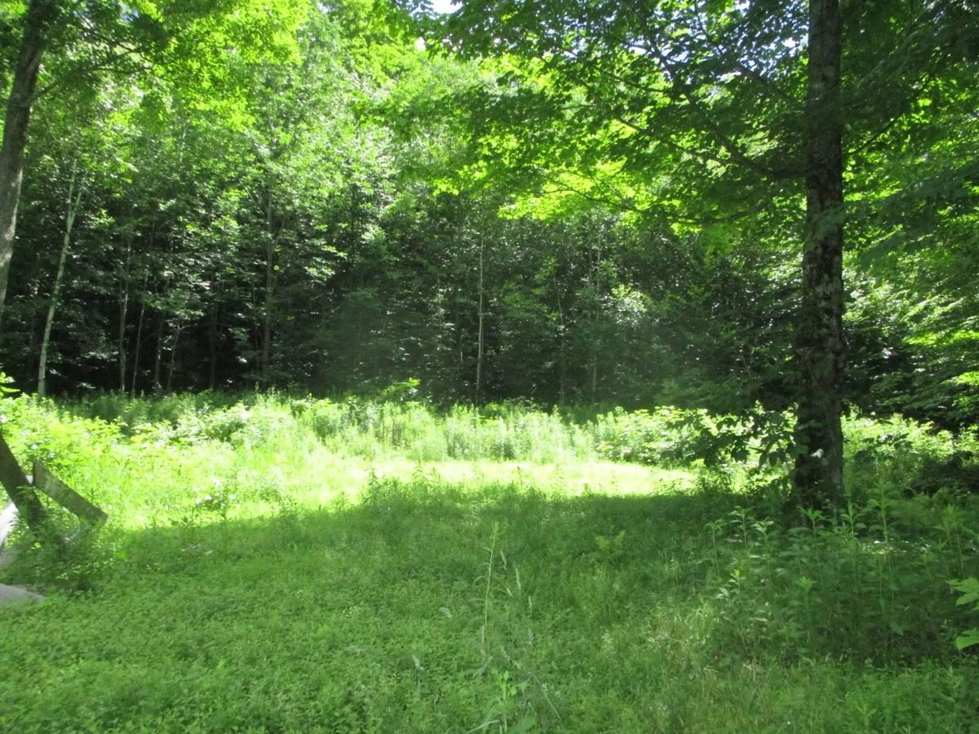 4166 Belvidere Road Eden VT 05652