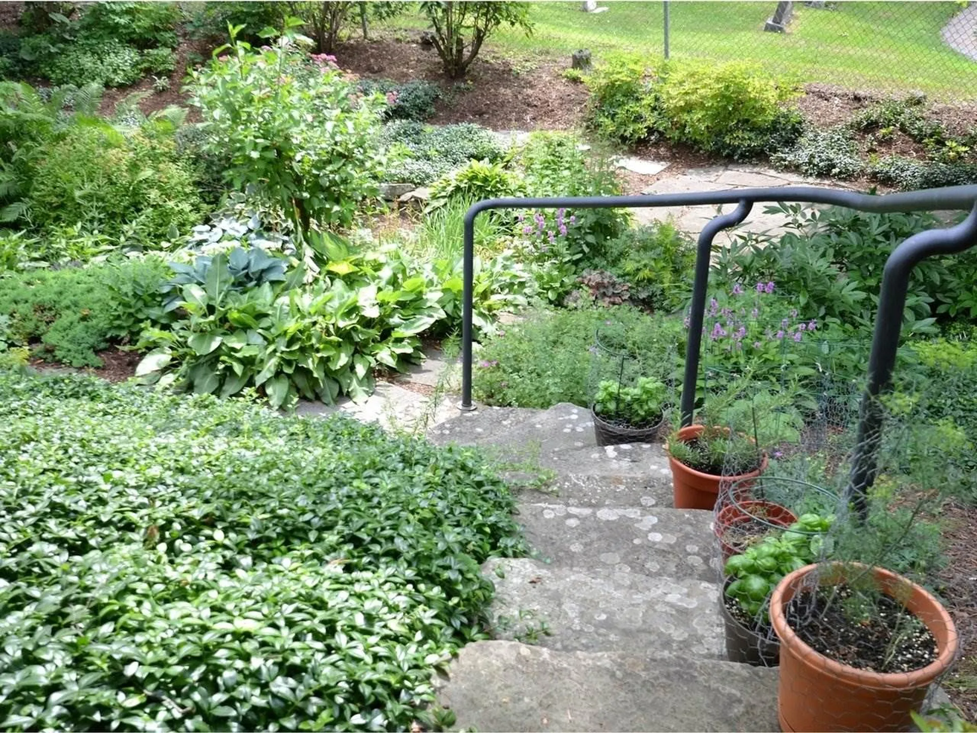 51 High Grove Court Burlington VT 05401