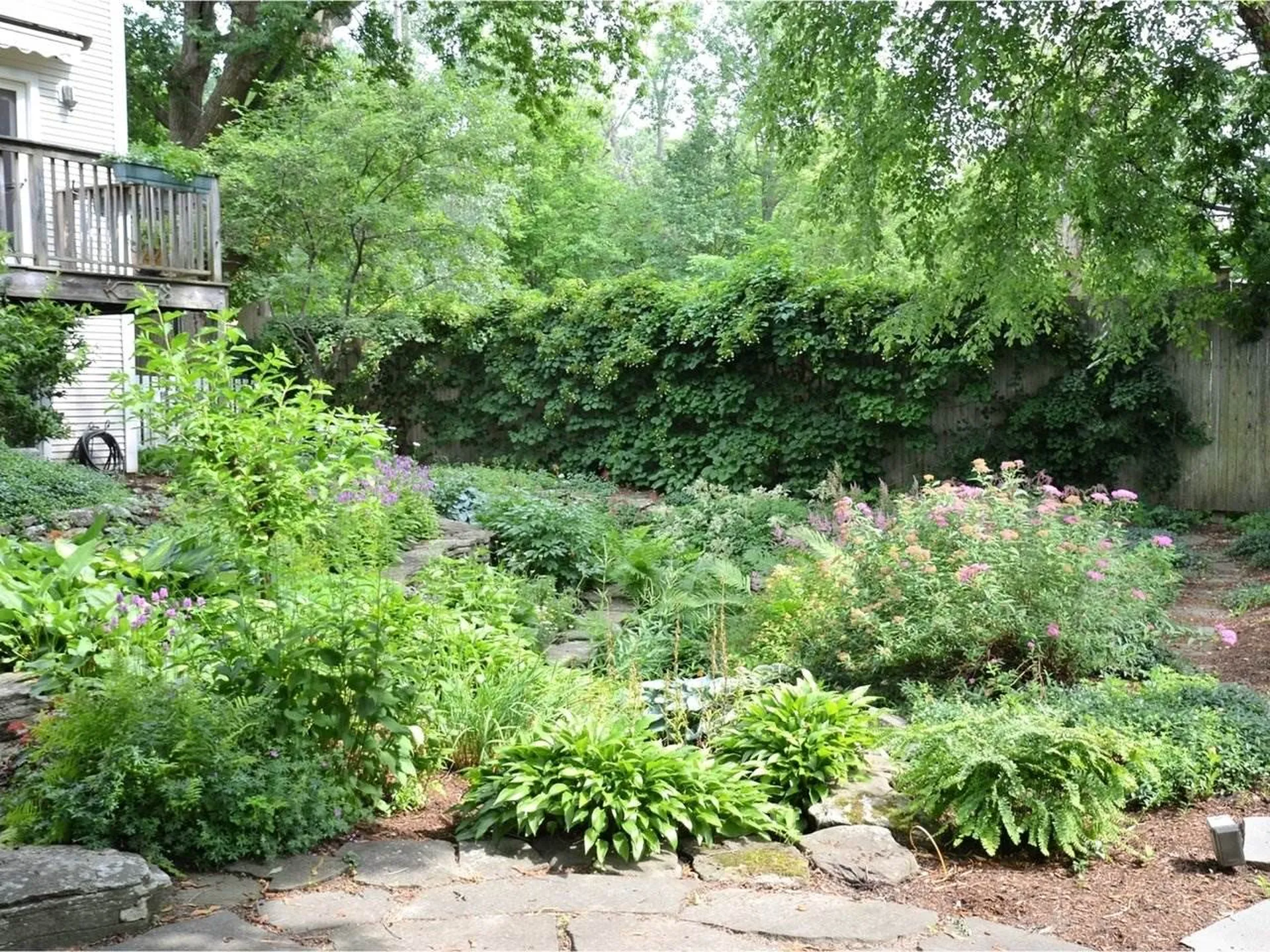 51 High Grove Court Burlington VT 05401