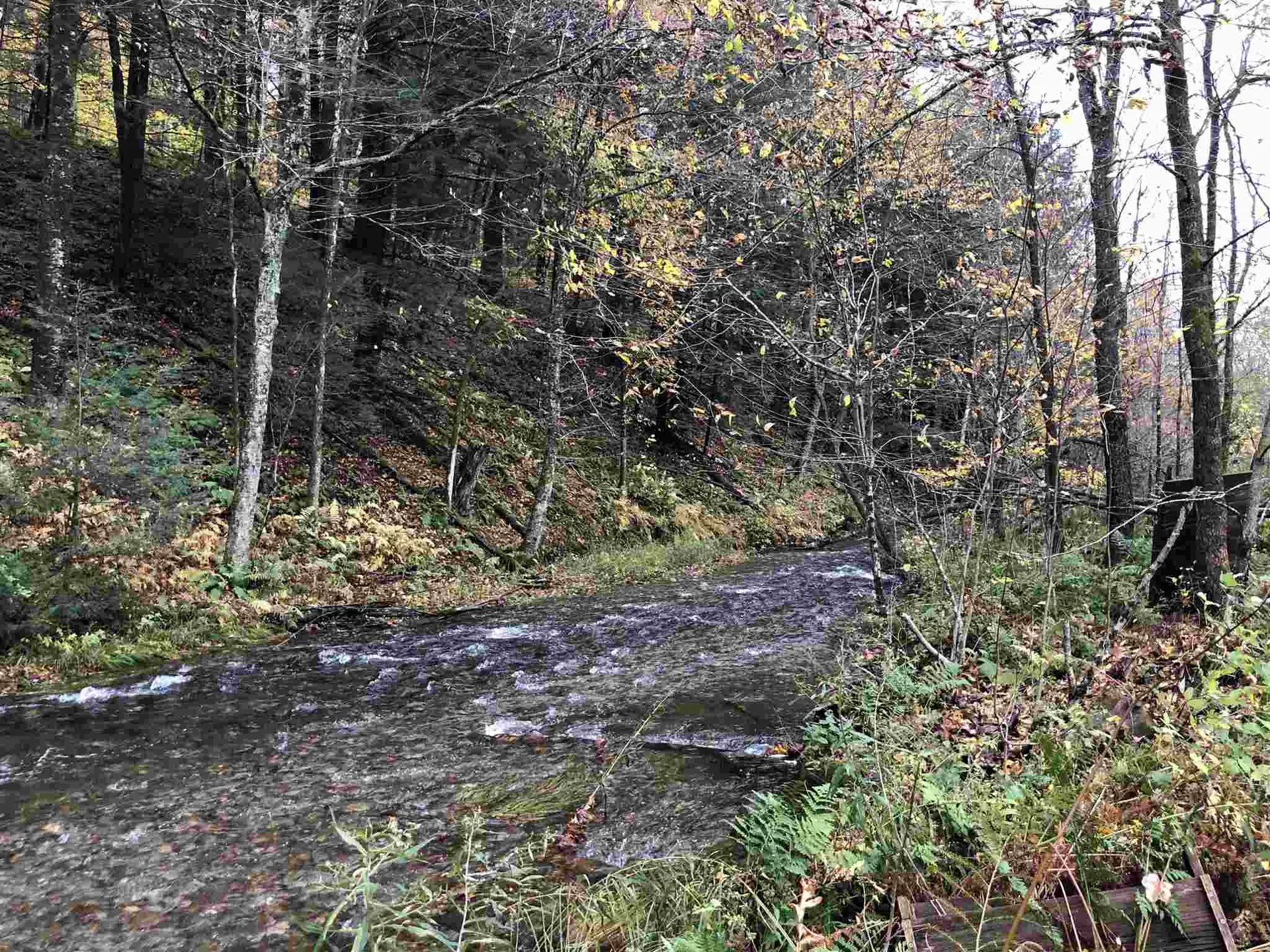 82 Stokes Hill Road Starksboro VT 05487