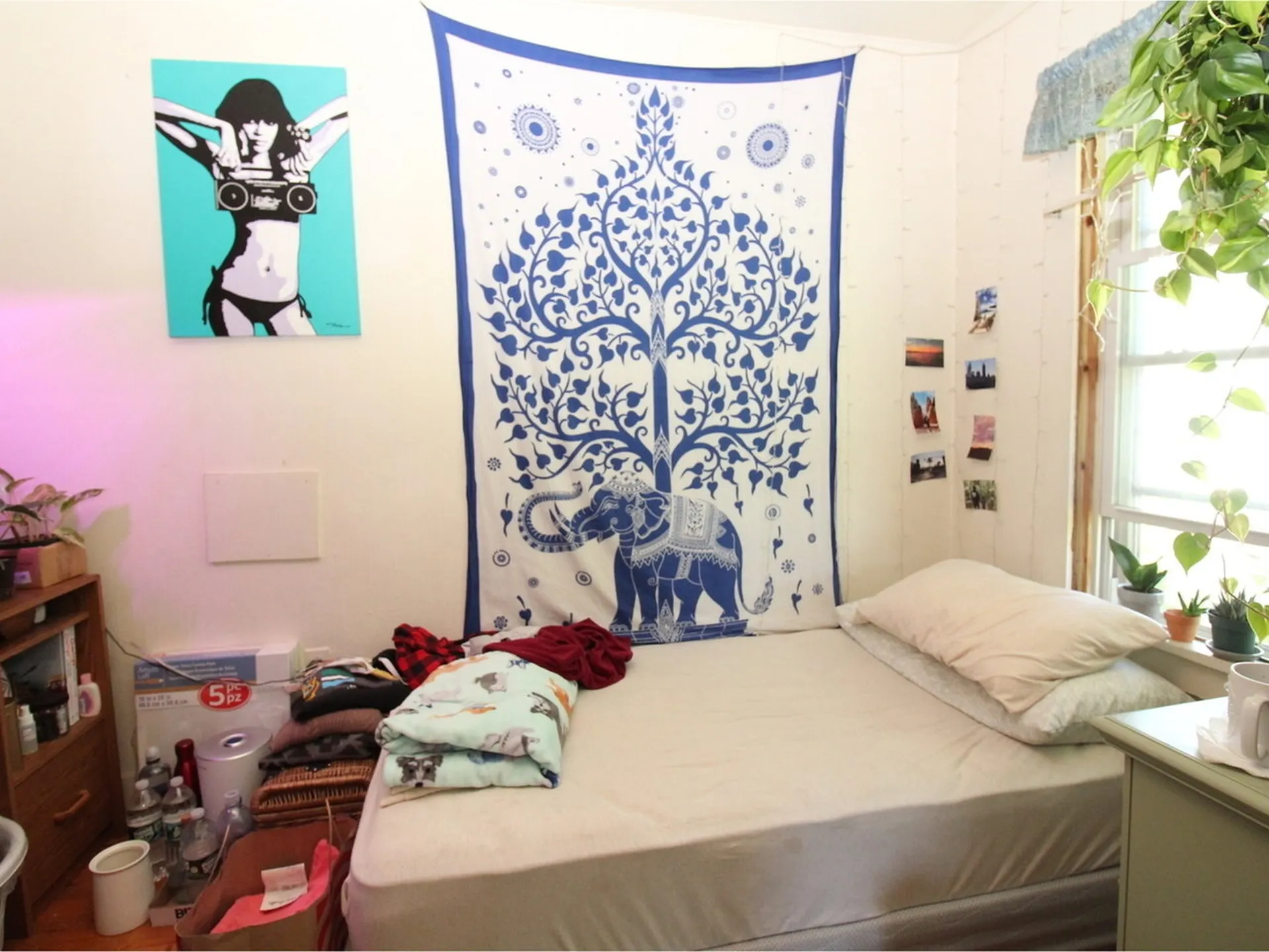 26-28 Drew Street Burlington VT 05401