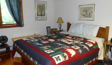 134 Ellis Brook Road Dover VT 05356