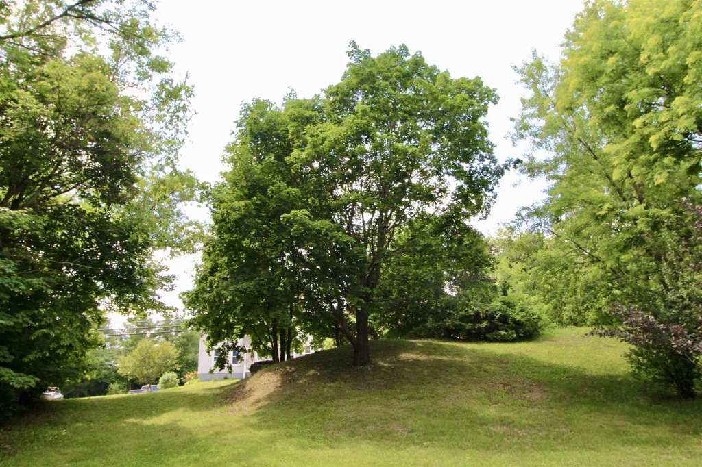 180 Lincoln Avenue Rutland City VT 05701