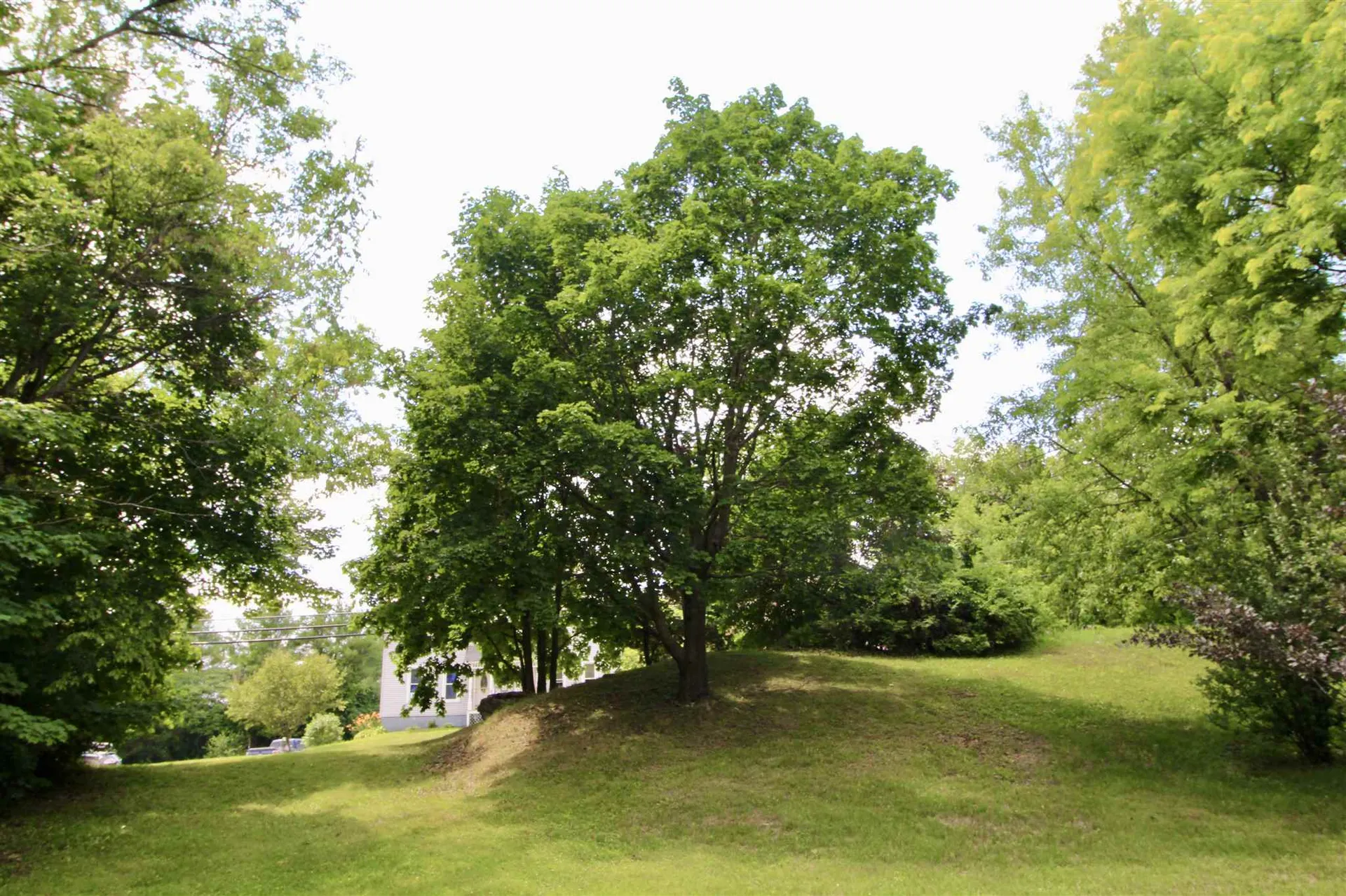 180 Lincoln Avenue Rutland City VT 05701