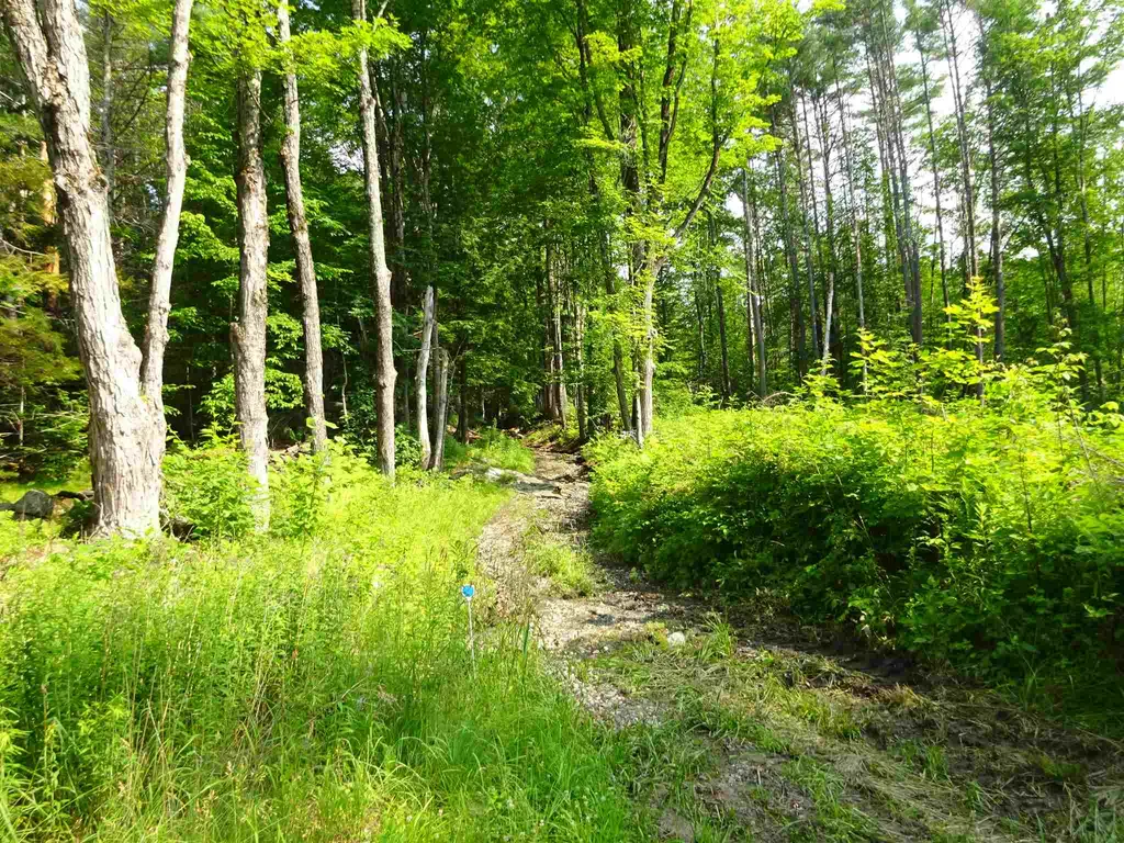 00 Rowe Hill Road West Windsor VT 05037