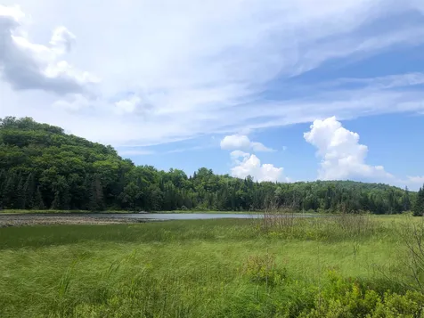 3208 Old Duck Pond Road Sheffield VT 05866