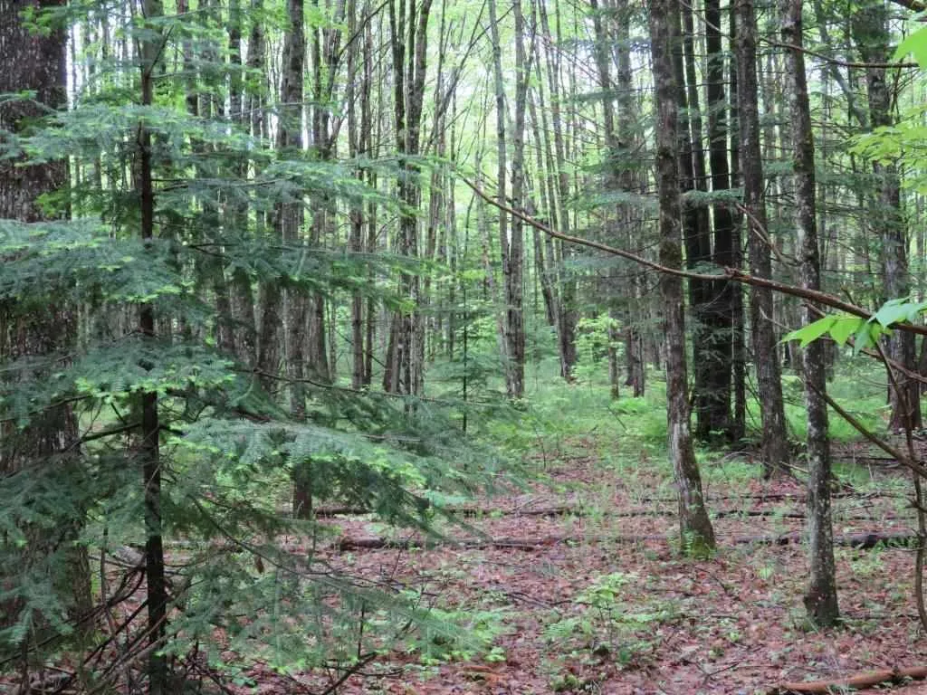 101 Wolfeboro Road Hanover NH 03755