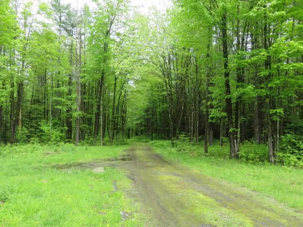 101 Wolfeboro Road Hanover NH 03755